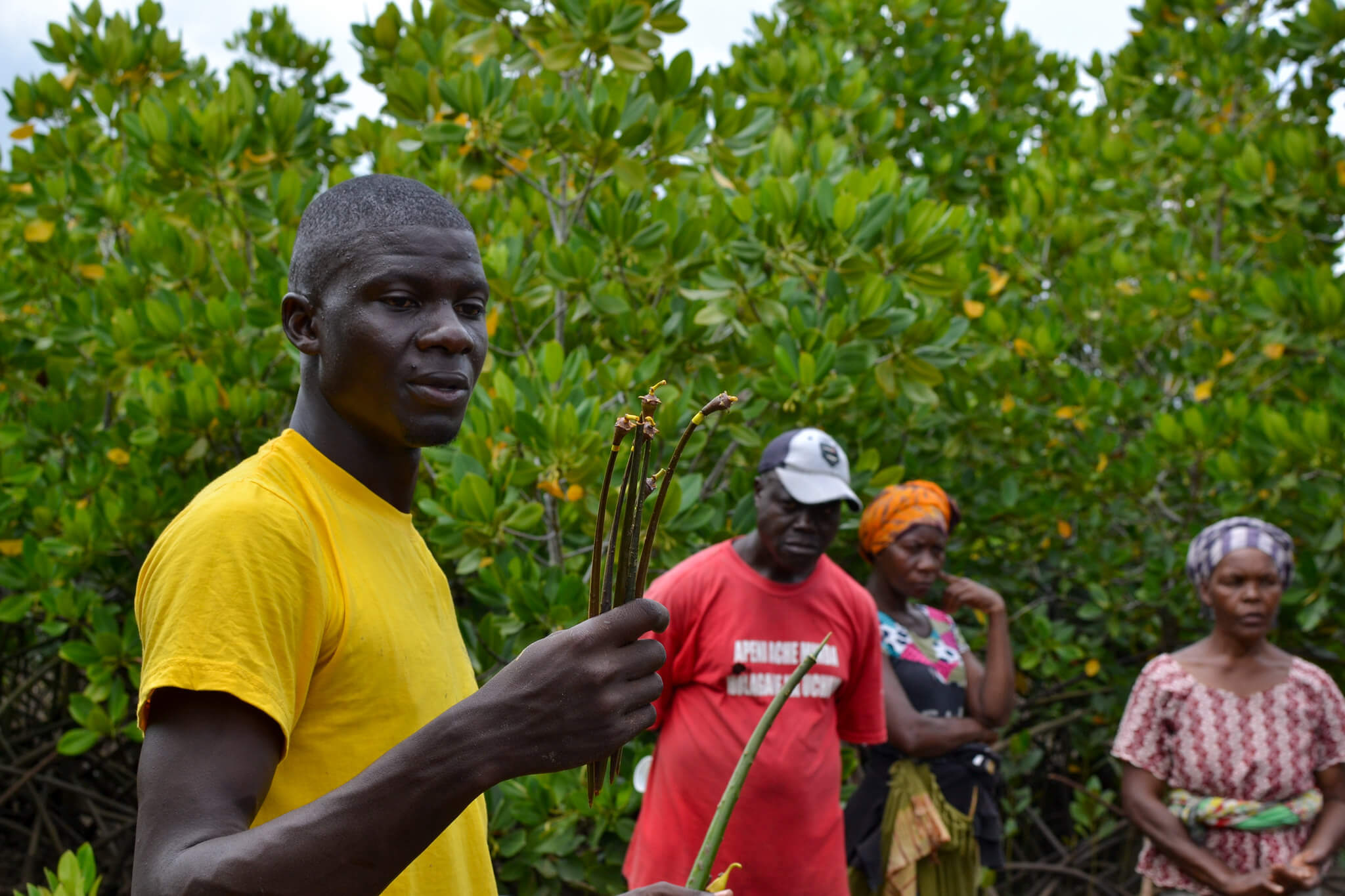 Mangrove Field Visit – 2023 Oceans Restoration Steward, Kenya