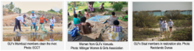 Table preview photos of GLFx Msimbazi, GLFx Vanuatu and GLFx Sisal to download