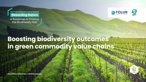 Boosting biodiversity outcomes in green commodity value chains